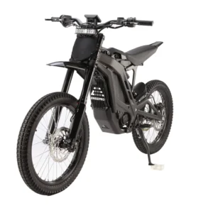 E Ride PRO 3.0 (19″/18″)